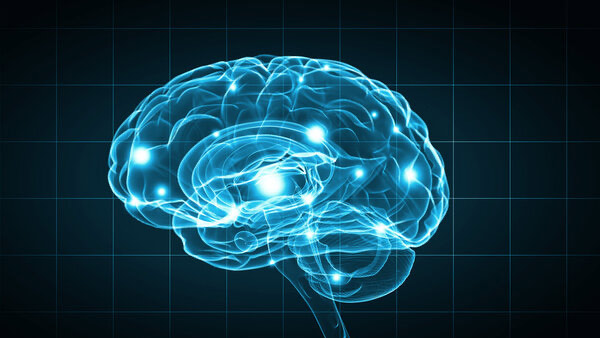 Brain Mapping